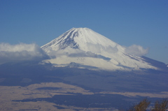 _IGP9875