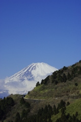 _IGP9893