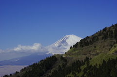 _IGP9903