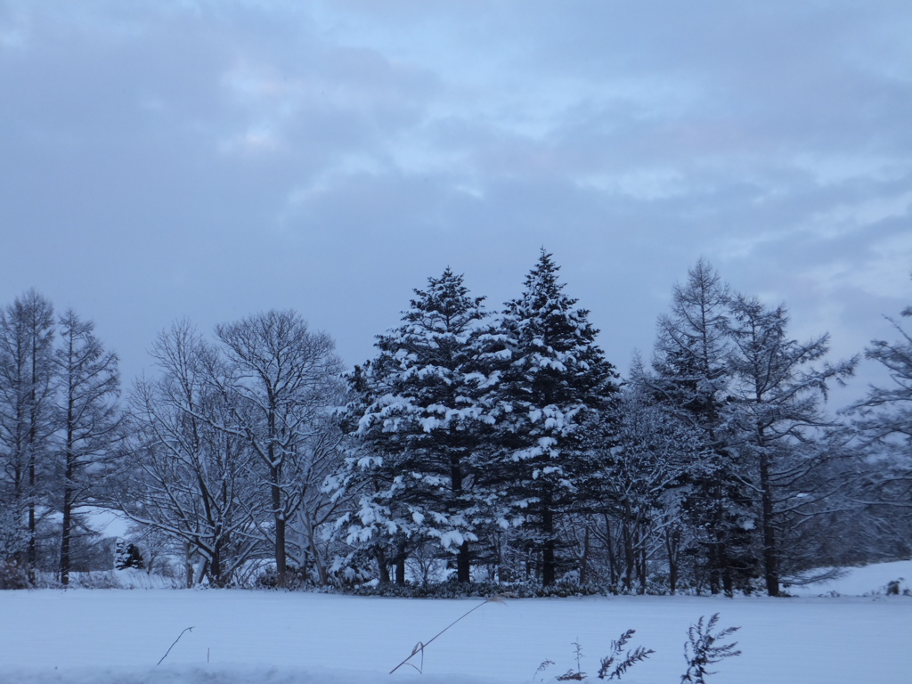 郊外の雪景色