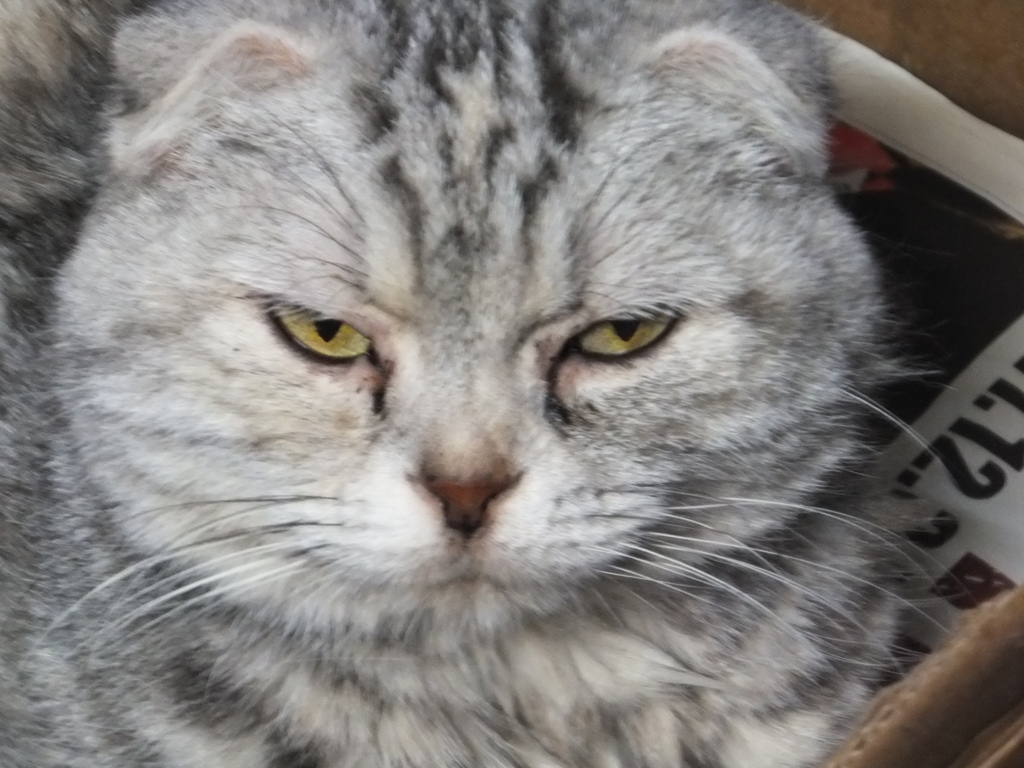 なに撮ってるのさ！