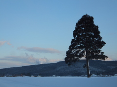 厳しさの中で安らぎの風景
