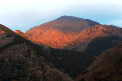 丹沢権現山の黎明