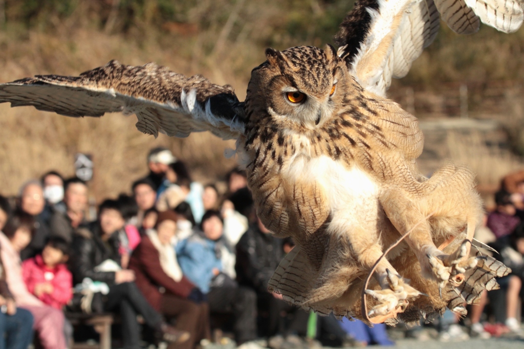 掛川でもやってきました 『 一瞬は、極限。 』　（⌒▽⌒；） ﾔﾒﾅｻｲ...