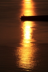 『金曜ロードショー』オープニング　（笑）