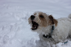 雪遊び