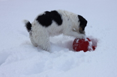 雪遊び