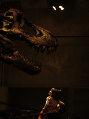 愛しの恐竜さん