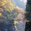 河畔デート