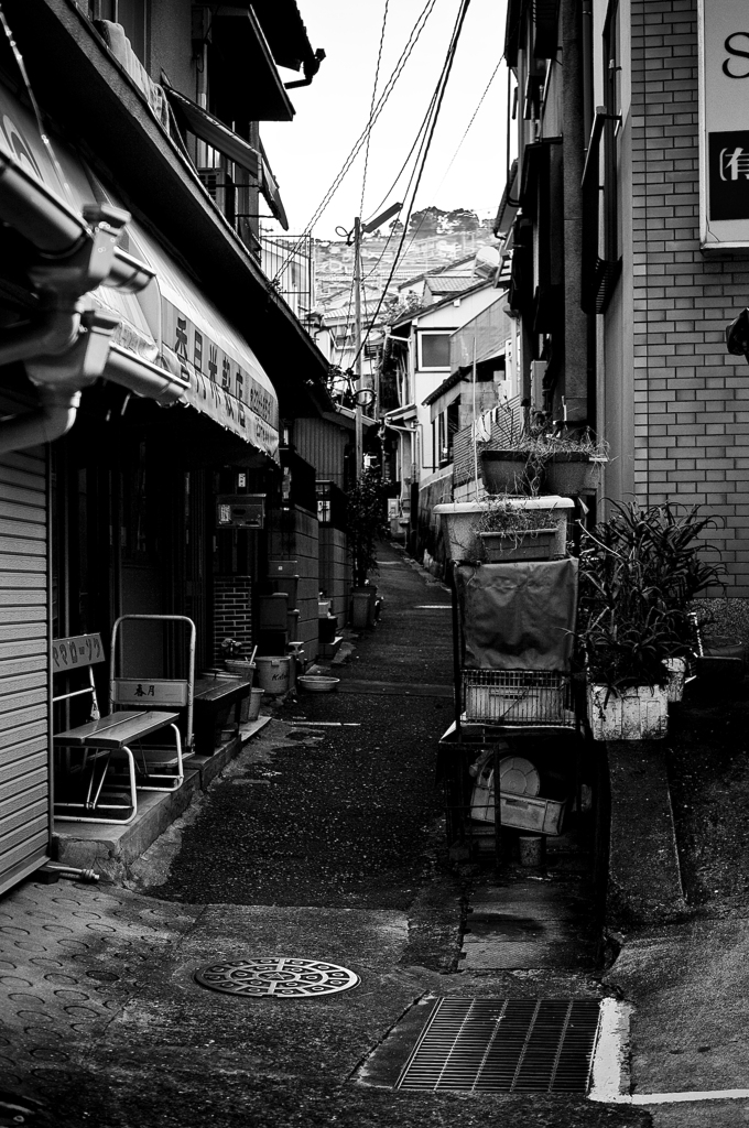 路地往けば