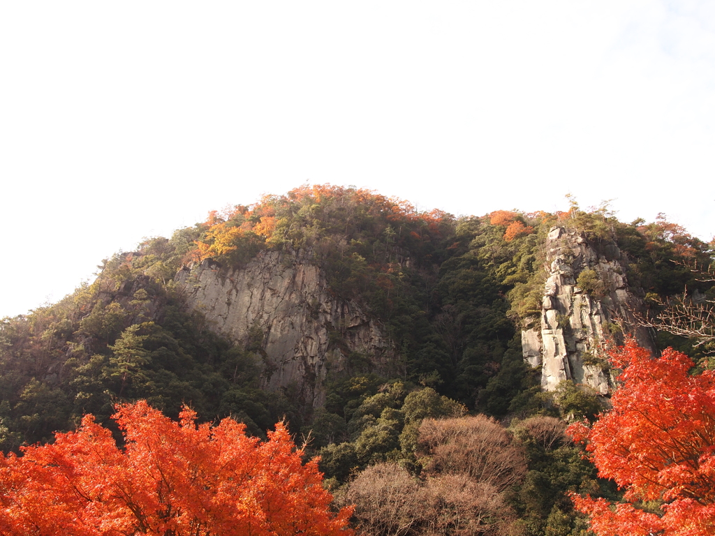 夫婦岩