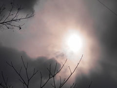 冬の空