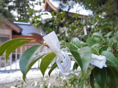 結び