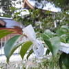 結び