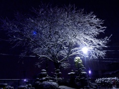 雪の造形