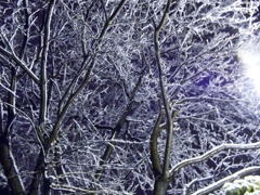 雪の造形