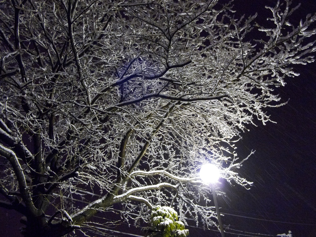 雪の造形