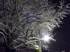 雪の造形