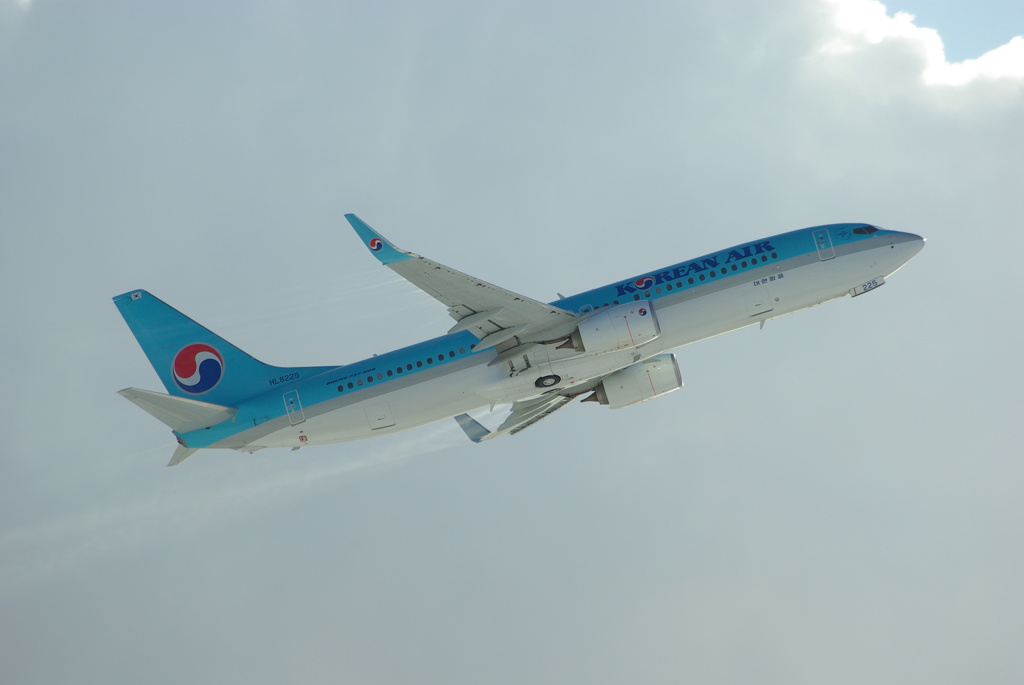 B737-800 HL8225