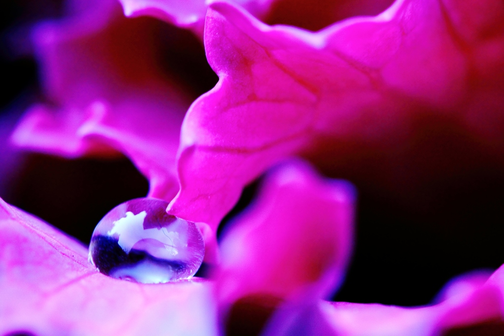 WaterKiss