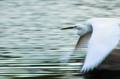 WhiteWing～白い閃光