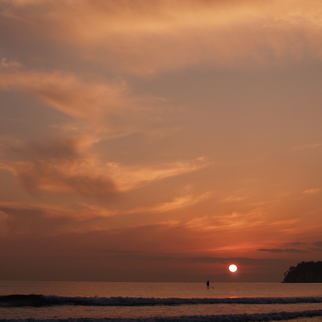 夕日に向かって