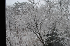 雪景色