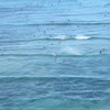 海③