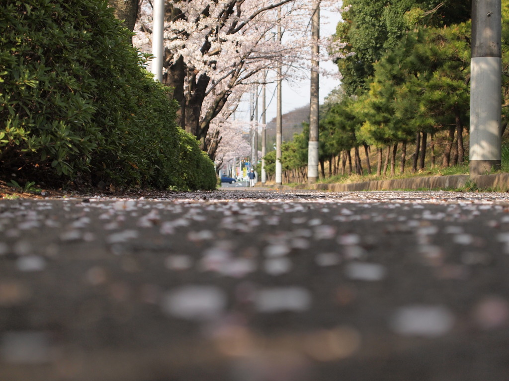 散ってなを。