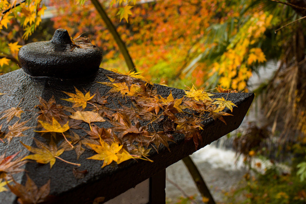 安国寺2015-1