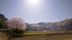 嵐のまえに