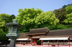 太宰府天満宮