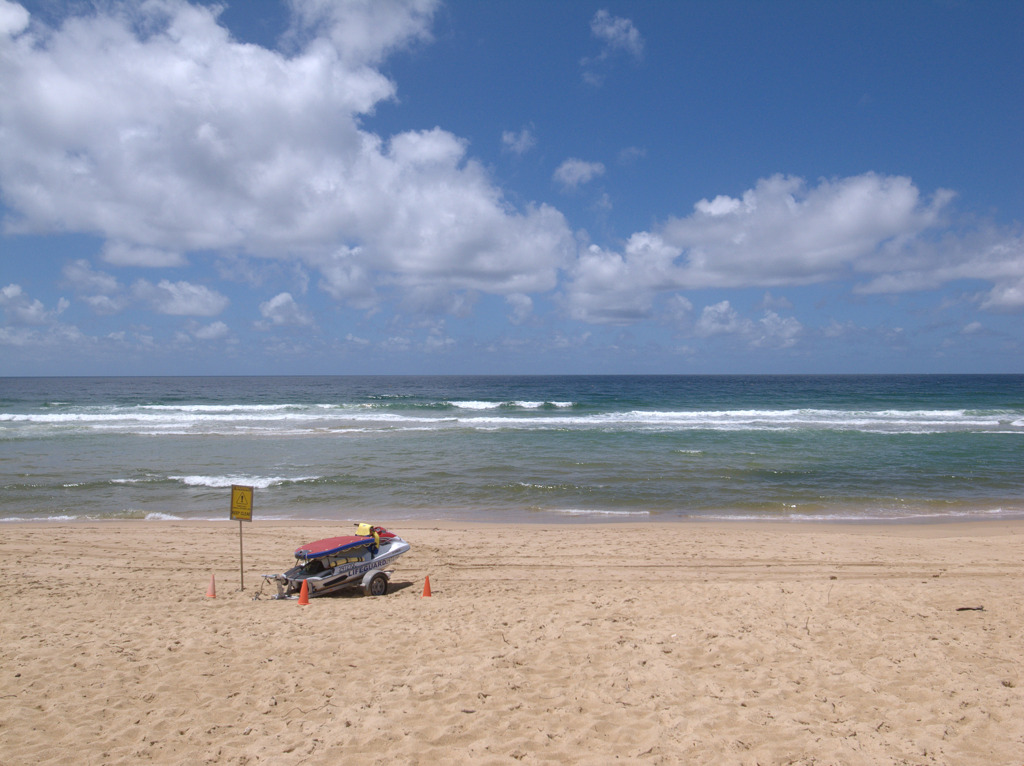 a sunny day, at a beach