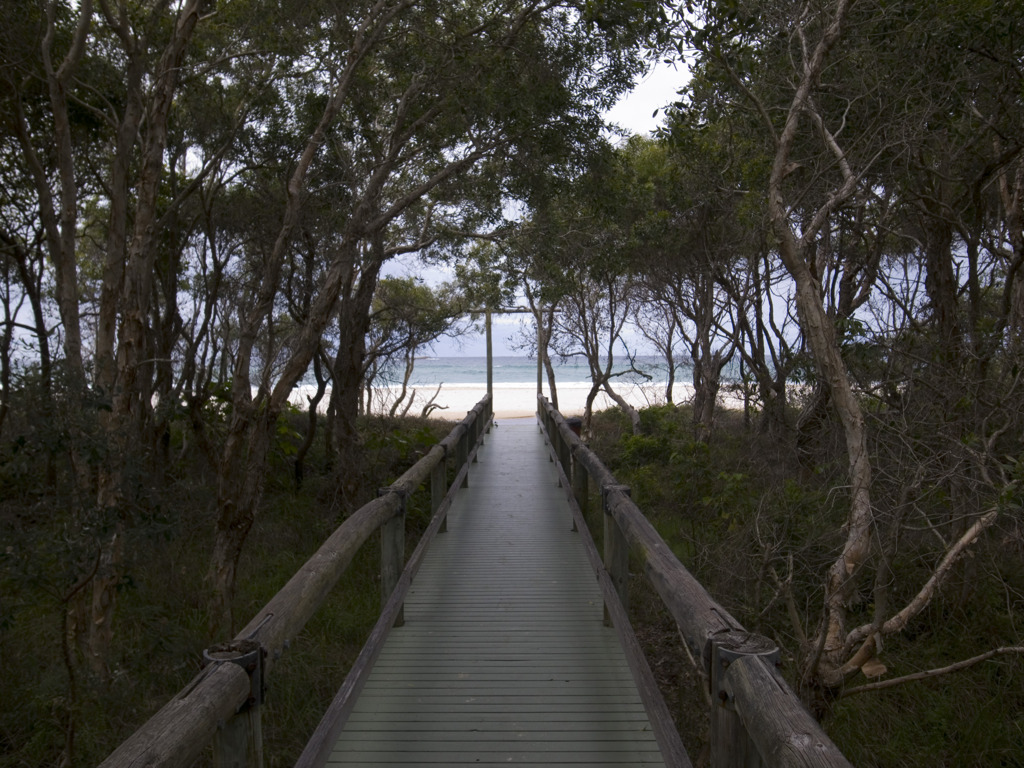 a small path to the sea