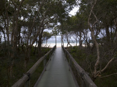 a small path to the sea