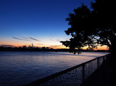 An evening at Brisbane River side