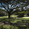 a sunny day afternoon in a park