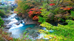 日本は美しい。