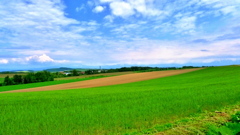 P1100460
