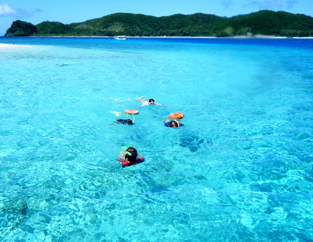 お魚見えた〜？
