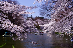 春の隙間
