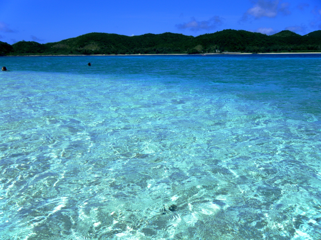 ここは海外？