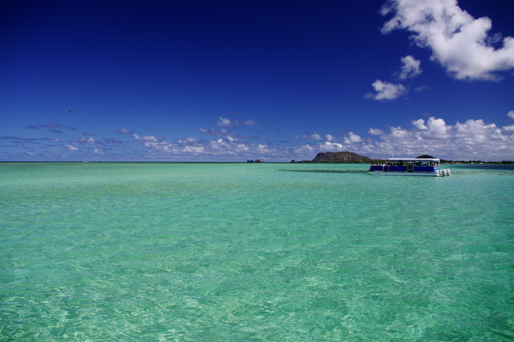 kaneohe 