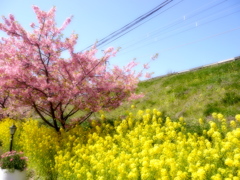 春うらら