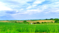 P1100468