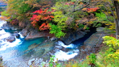 日本最高。
