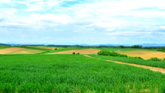 P1100469