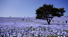 地球は青かった