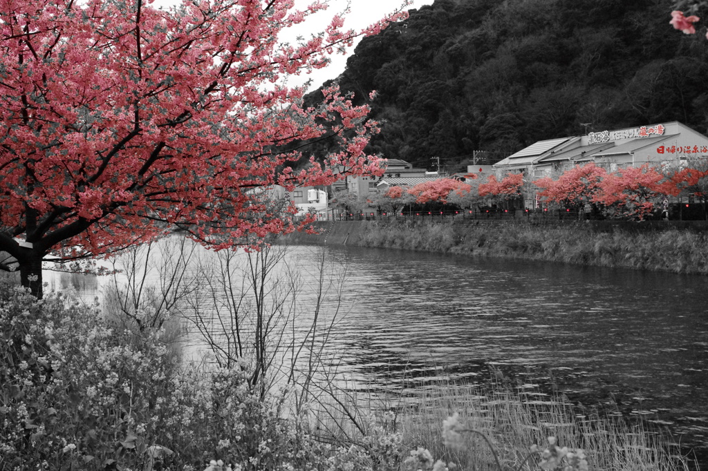 IMGP4749