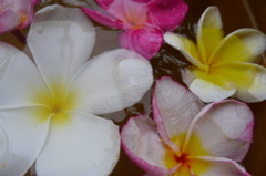 水と花